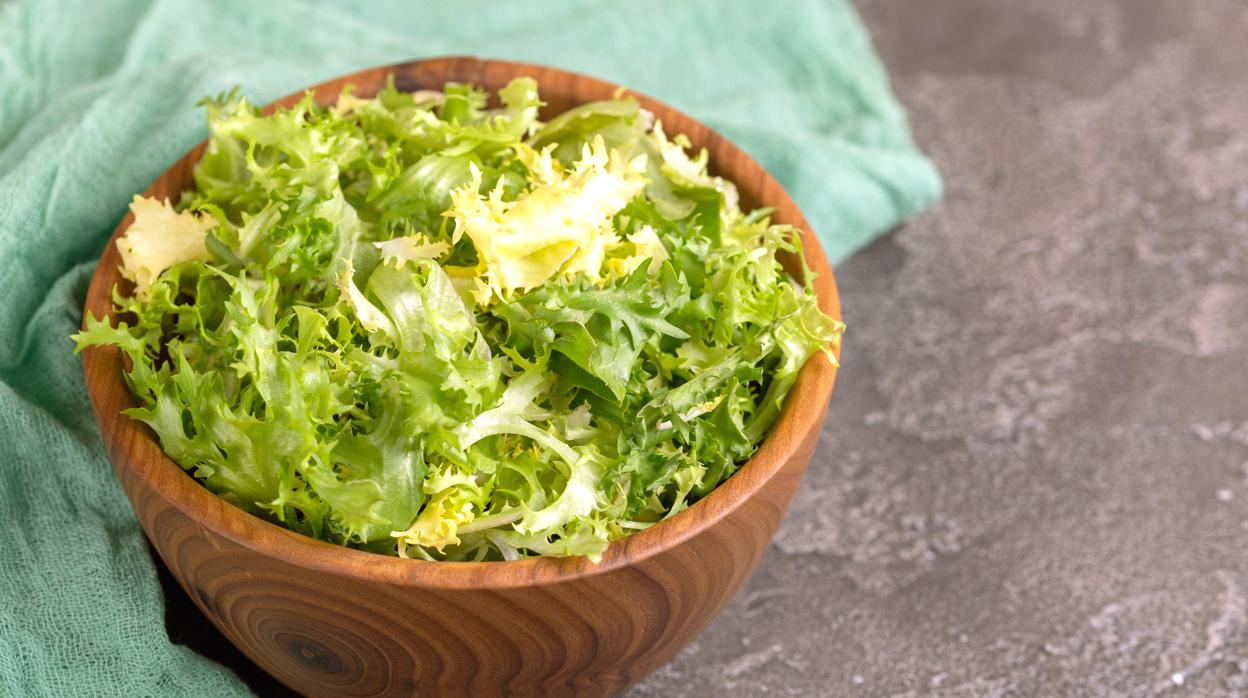 la-escarola-contiene-propiedades-nutritivas-para-el-cuerpo