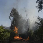 incendio-6.webp.webp