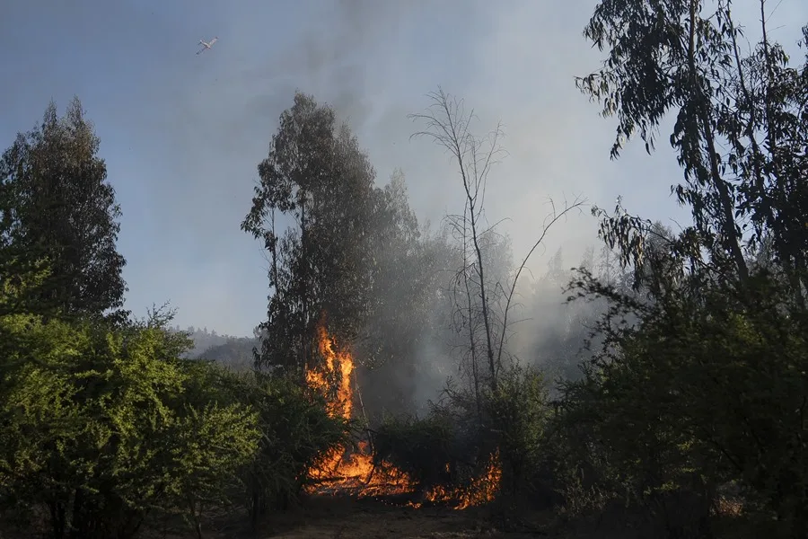 incendio-6.webp.webp