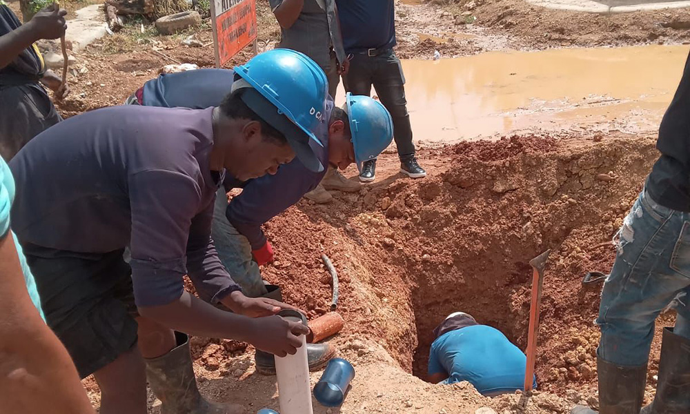 CAASD.jpg
