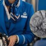 Azafata es hospitalizada por un posible contagio por hantavirus.