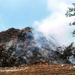 6a2b591950fdd.jpeg