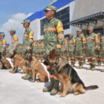 Rescatistas100-696×455-1.jpg