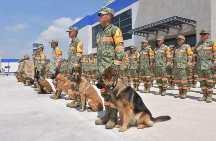 Rescatistas100-696×455-1.jpg