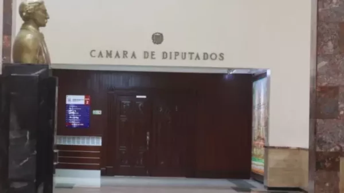 6a5800da911ae.r_d.371-306-20000.webp.jpeg