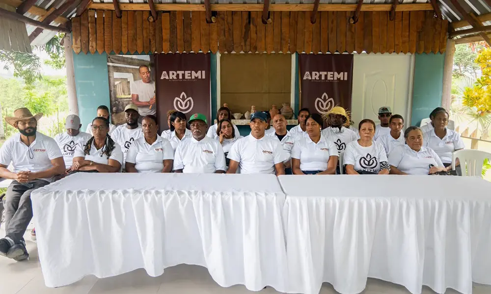 artemi.jpg.webp.webp