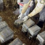 photo-2026-07-19-11-14-45-6-1024×576.jpg