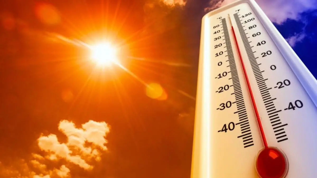 Calor-2.jpg.webp.webp