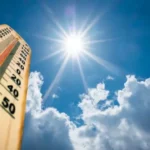 Calor.webp.webp
