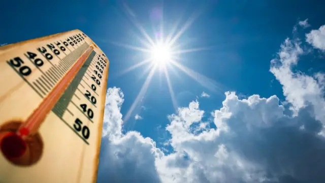 Calor.webp.webp