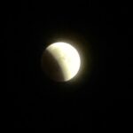 FE1DDDFD-2C05-45FA-955B-D8ACF2E3F087.jpeg