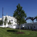 casa_blanca.webp.webp