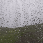 ezgif-com-video-to-gif-1.gif