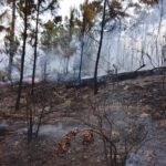 unos-70-brigadistas-combaten-incendio-reactivado-en-valle-nuevo-5e5ec104-focus-0-0-896-504.jpeg
