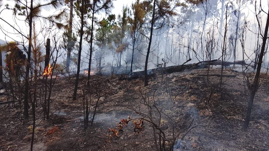 unos-70-brigadistas-combaten-incendio-reactivado-en-valle-nuevo-5e5ec104-focus-0-0-896-504.jpeg